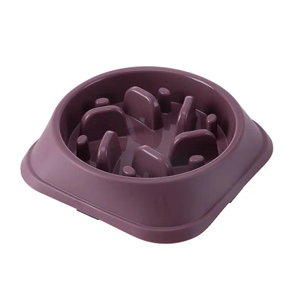 Gamelle Anti Glouton