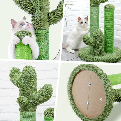 Arbre à Chat Cactus