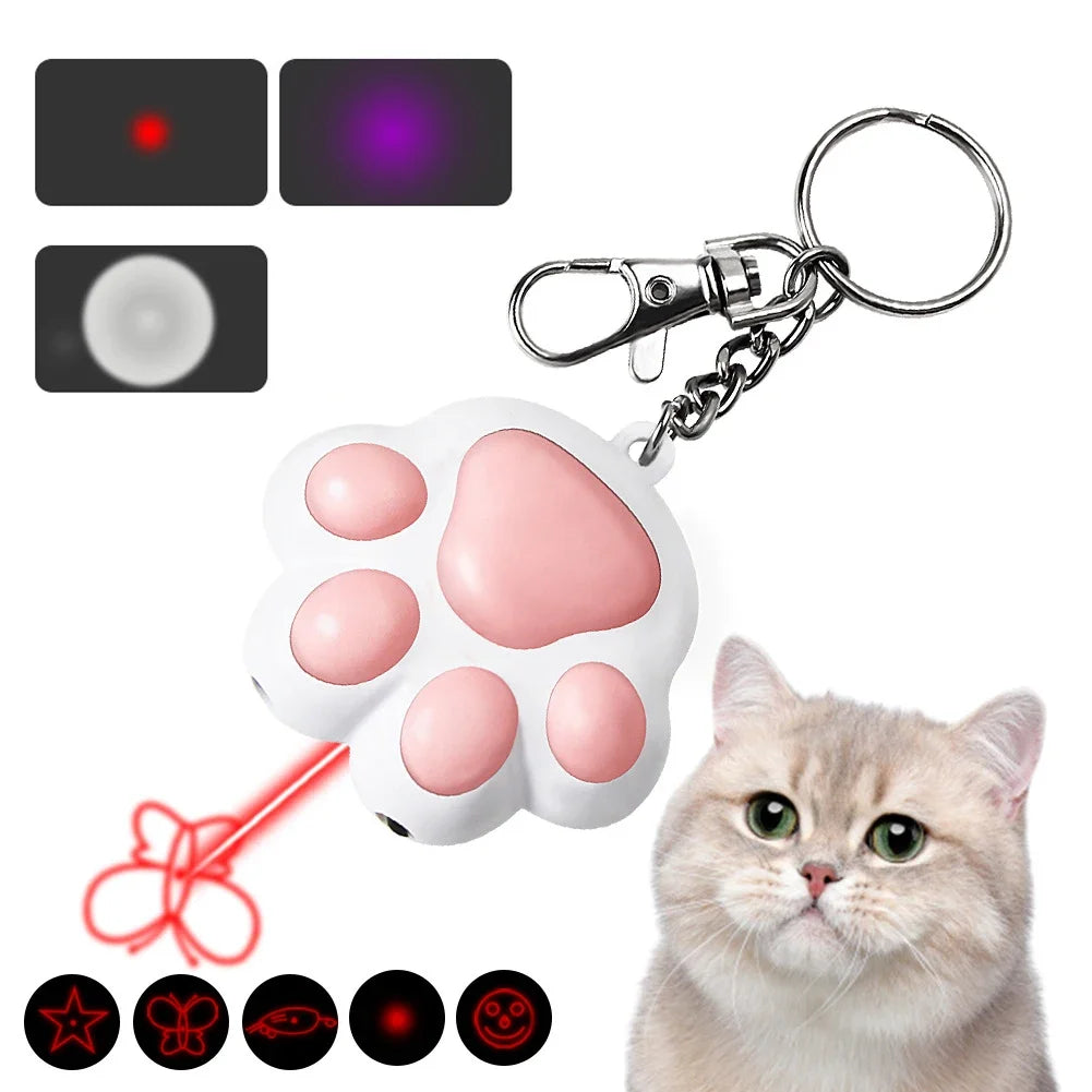 Laser Patte Rechargeable
