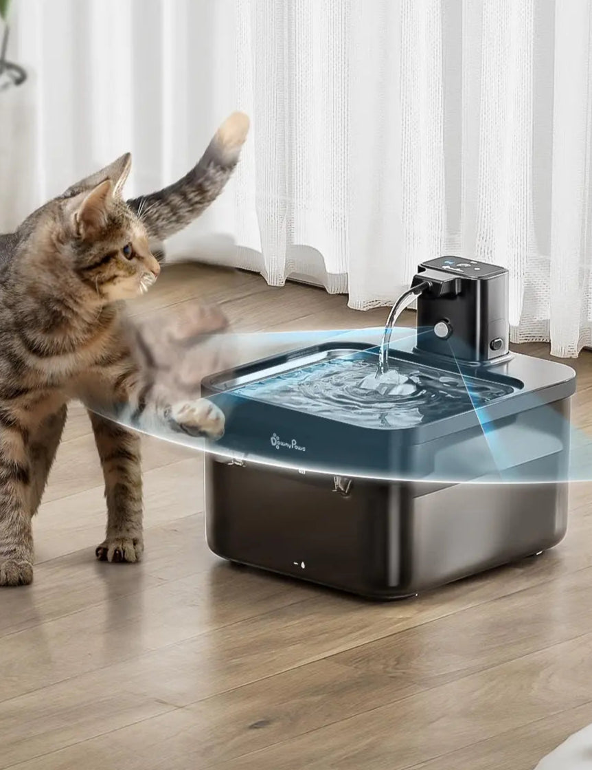 Fontaine à Eau Automatique pour Chat en Acier Inoxydable
