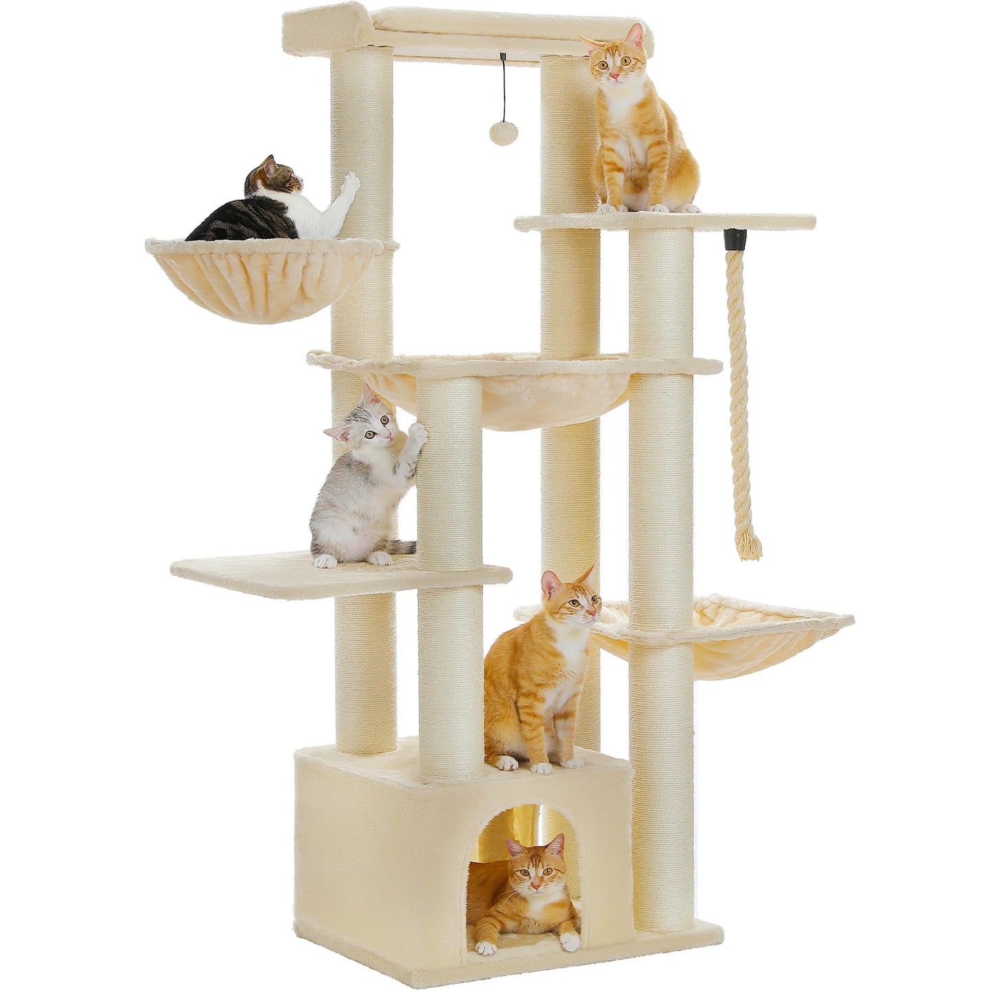 Grand Arbre à Chat