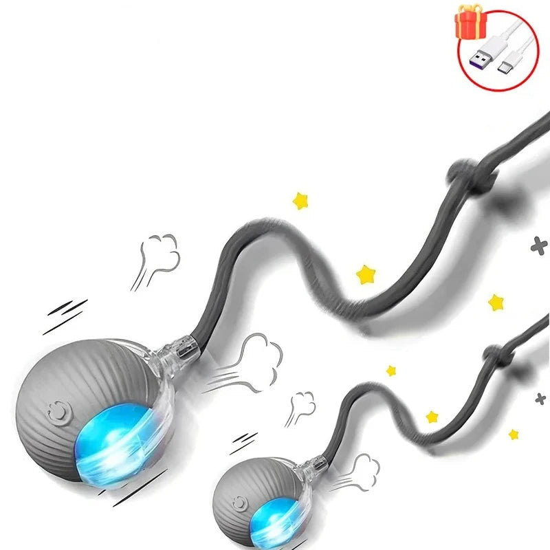 Balle Interactive pour Chat