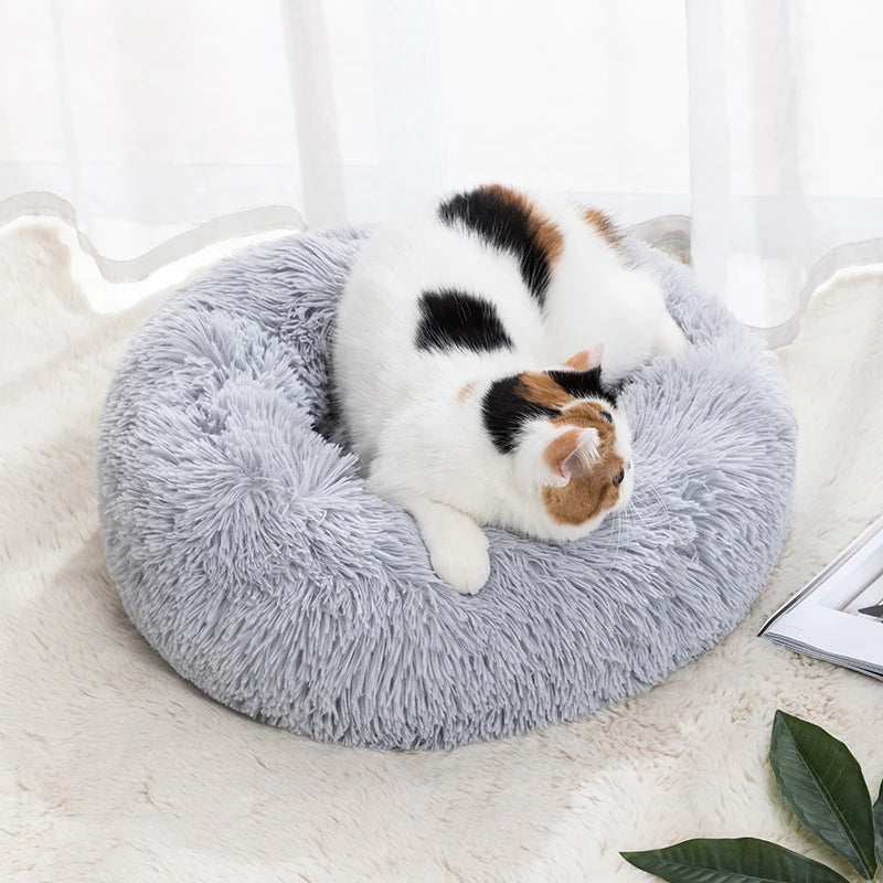 Nid pour Chat Doux