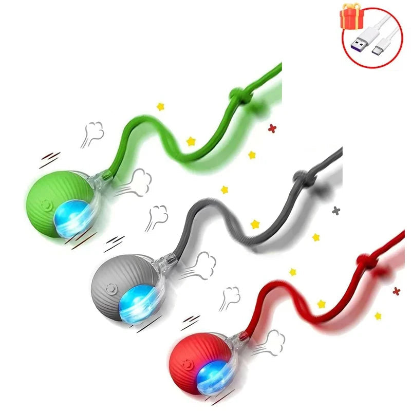 Balle Interactive pour Chat