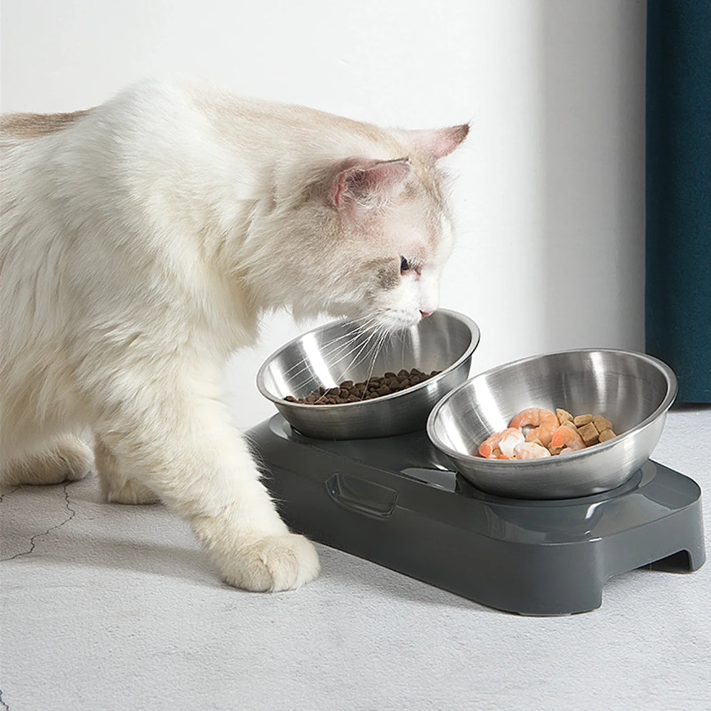 Bol Surélevé pour Chat en Inox