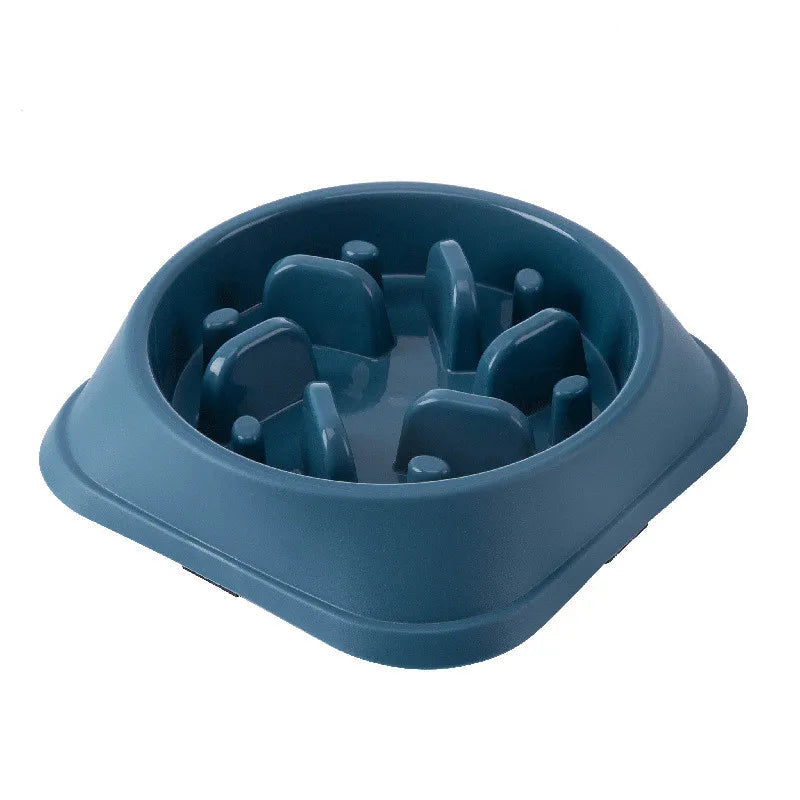 Gamelle Anti Glouton