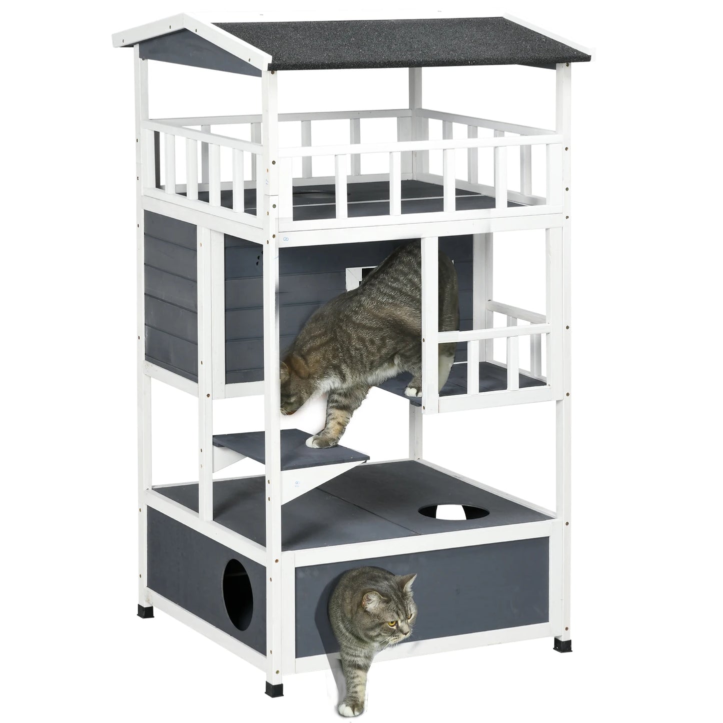 Maison pour Chat Grande Capacité