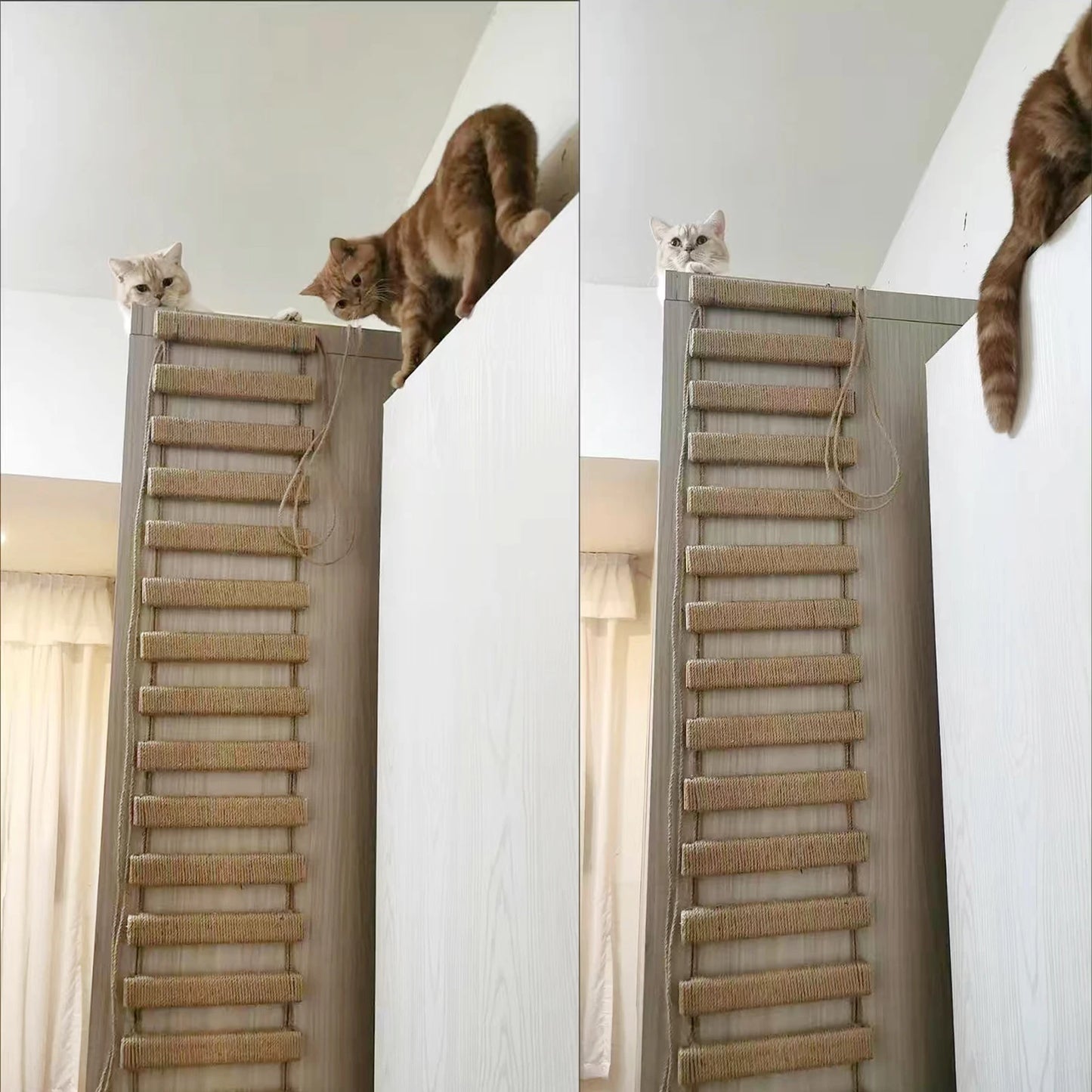 Echelle en Bois pour Chat