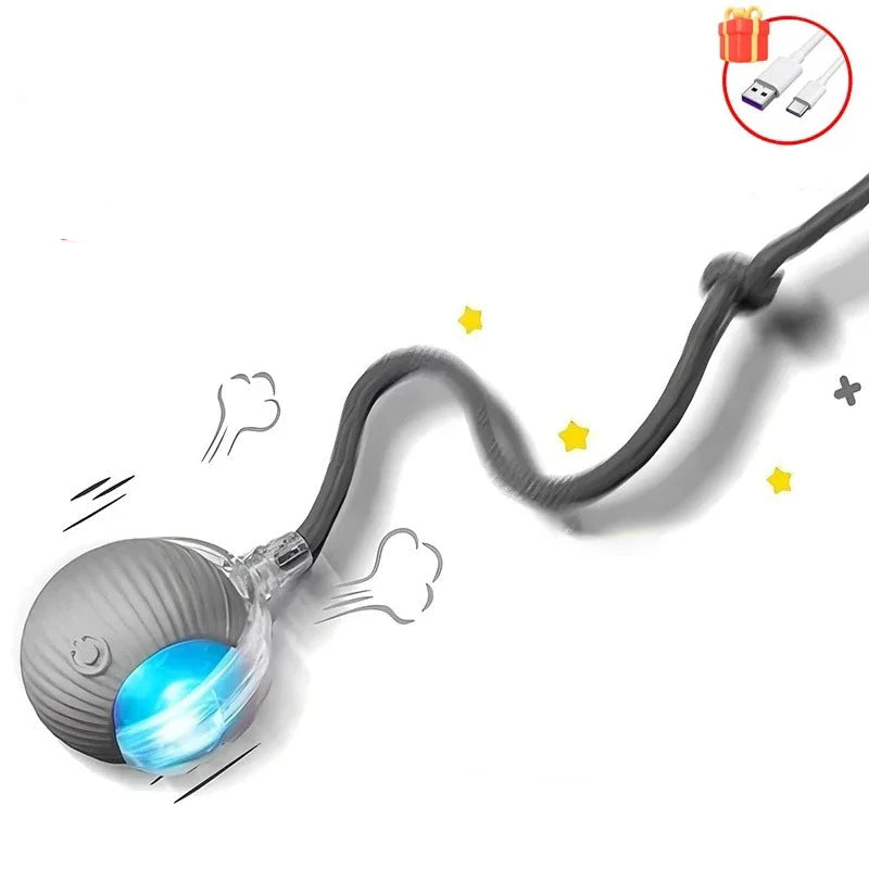 Balle Interactive pour Chat