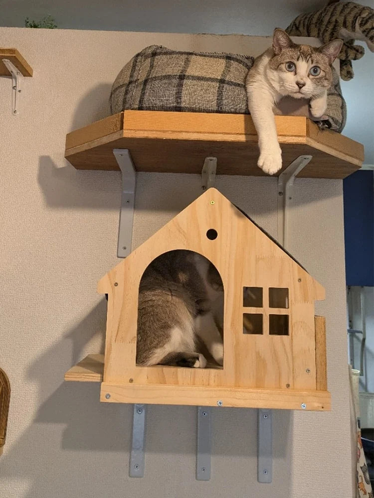 Maison en Bois suspendue pour Chat