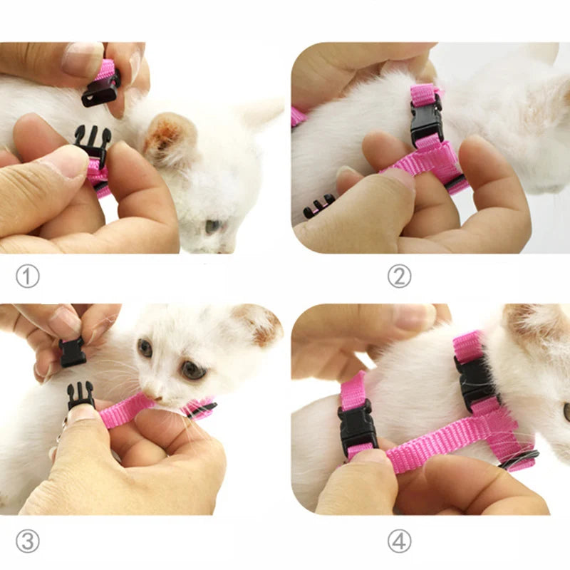Harnais Ailes d'Ange pour Chat