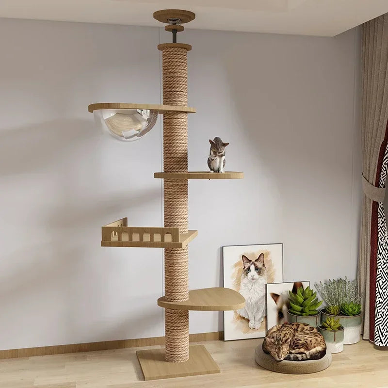 Grand Arbre à Chat du Sol au Plafond