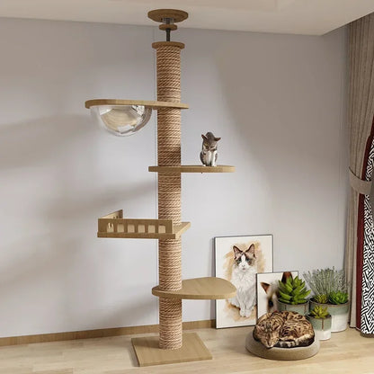 Grand Arbre à Chat du Sol au Plafond