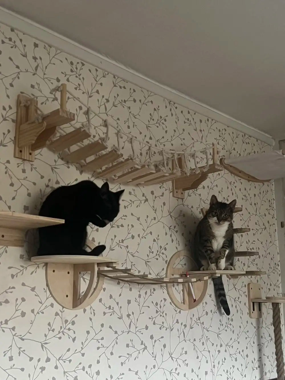 Maison en Bois suspendue pour Chat
