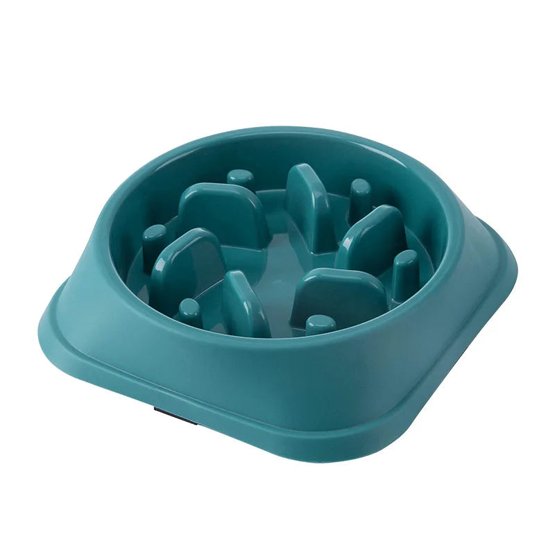 Gamelle Anti Glouton