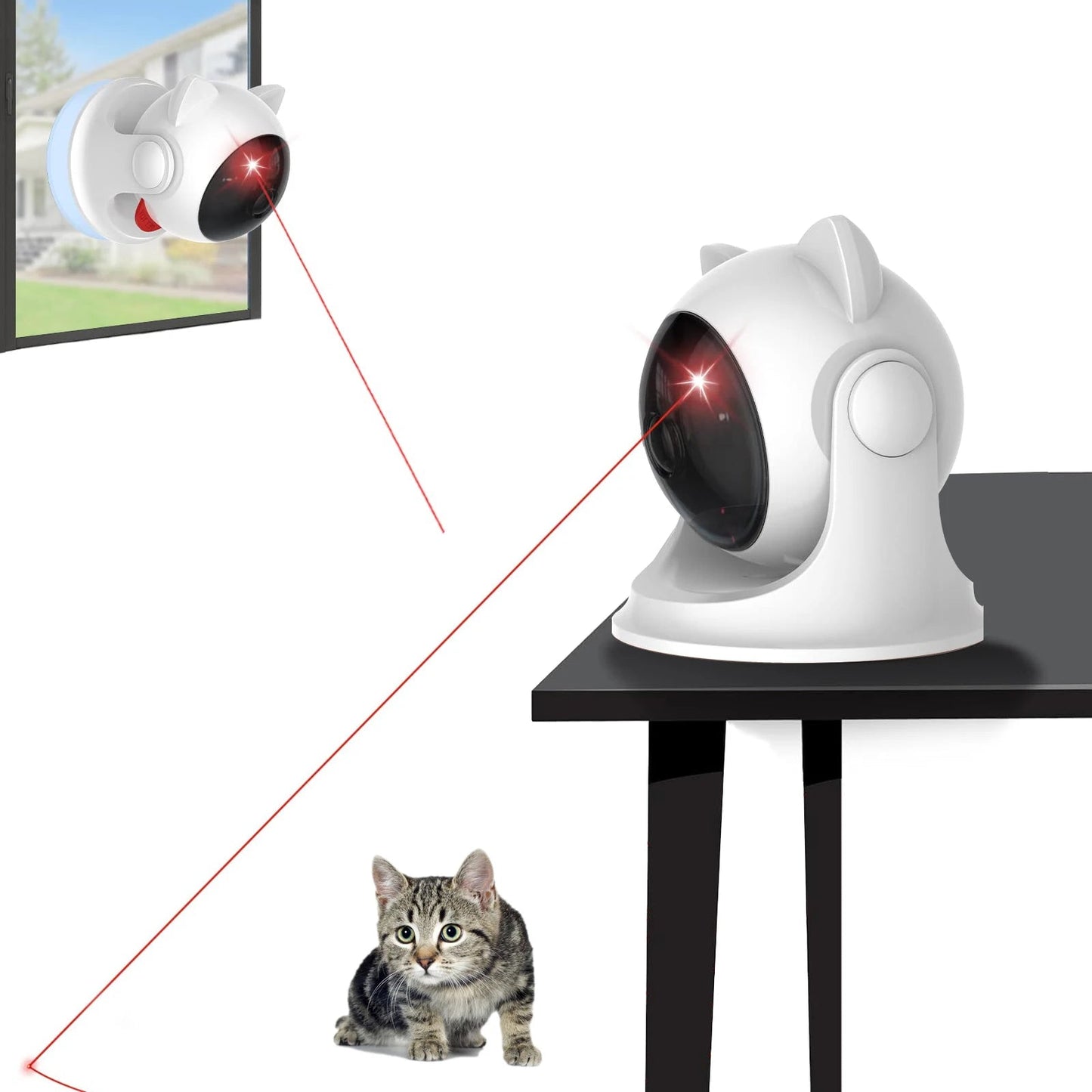 Laser Automatique Rechargeable pour Chat