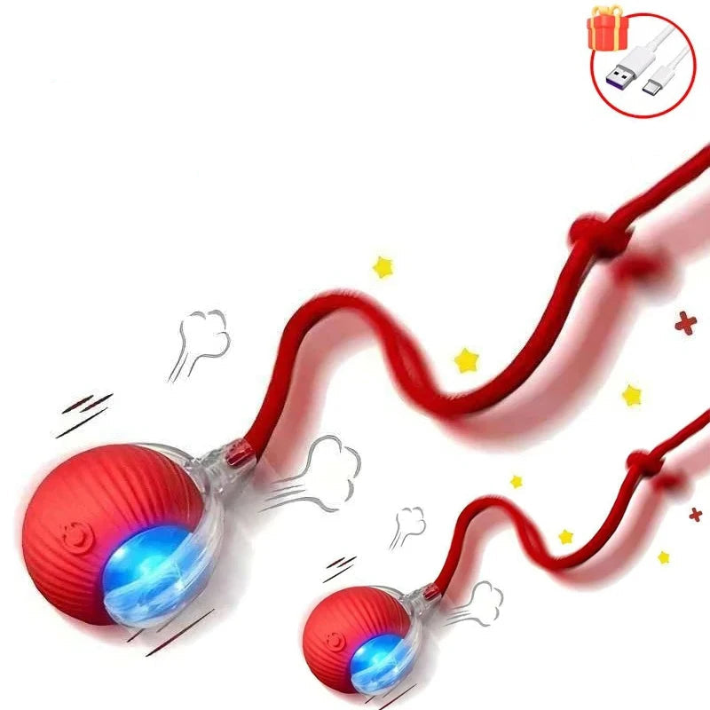 Balle Interactive pour Chat
