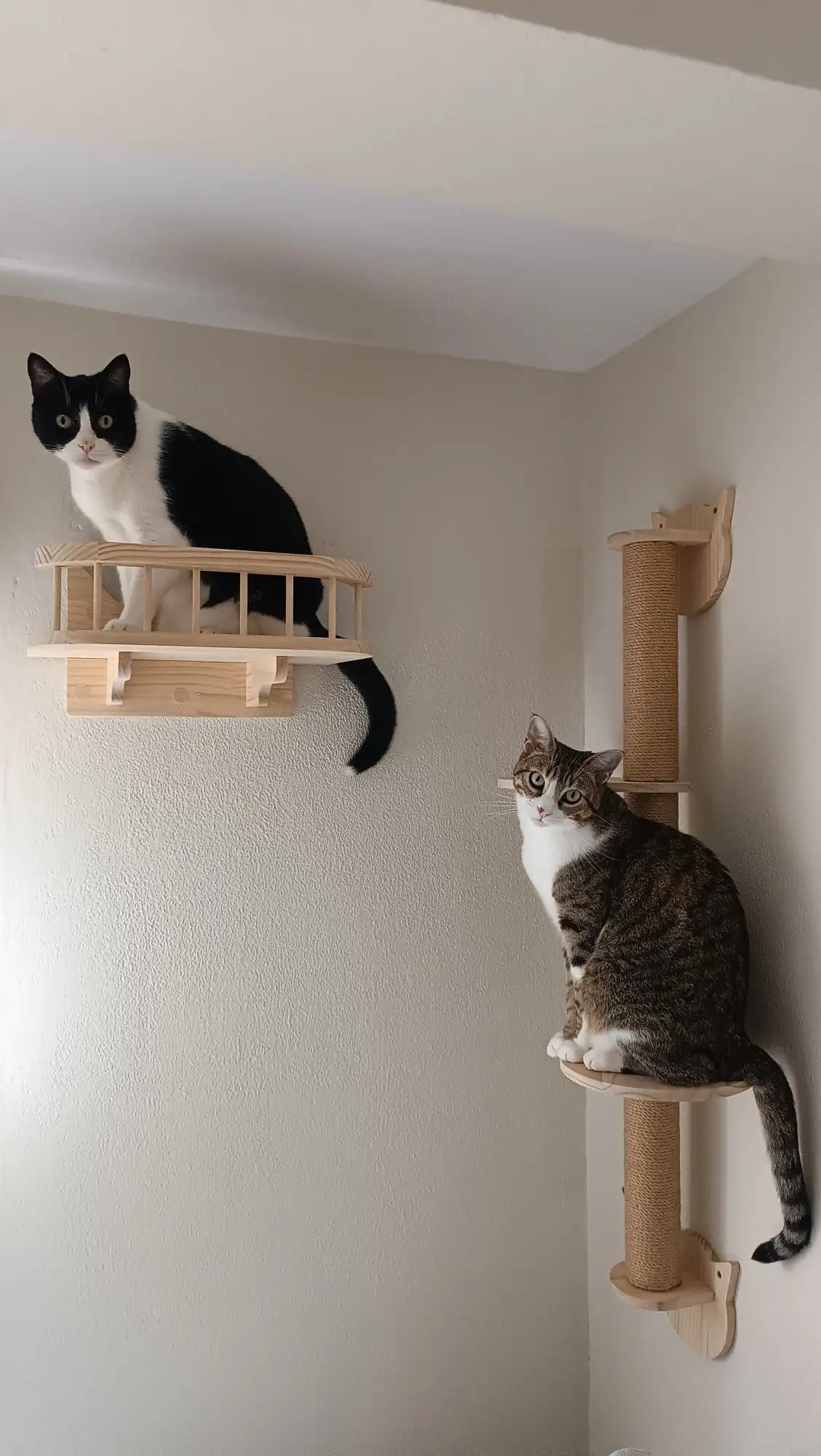 Maison en Bois suspendue pour Chat