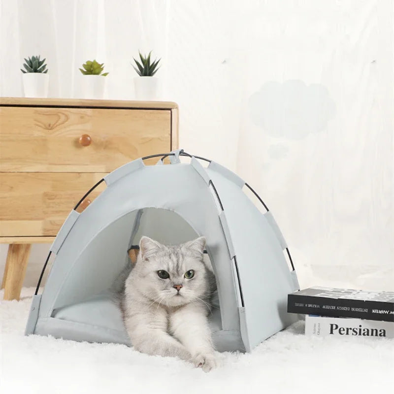 Cabane pour Chat d'Intérieur