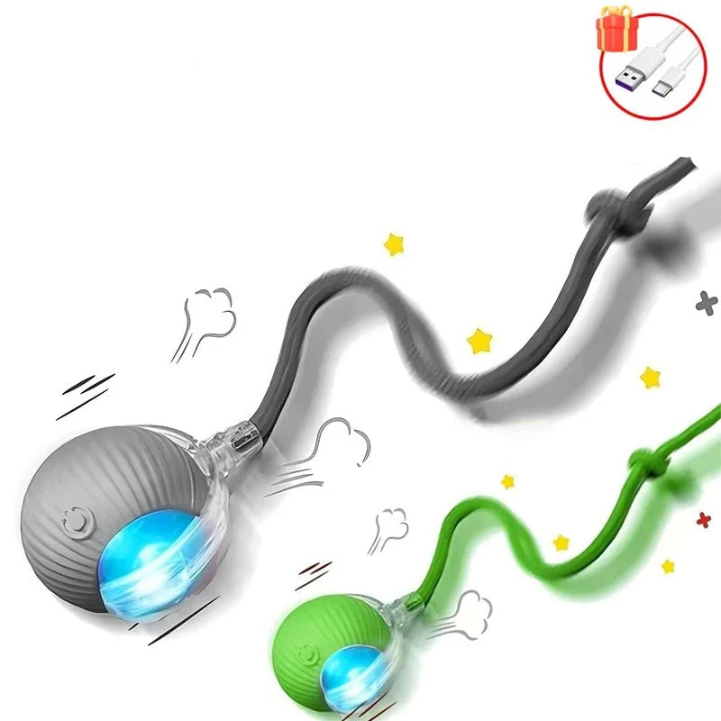 Balle Interactive pour Chat