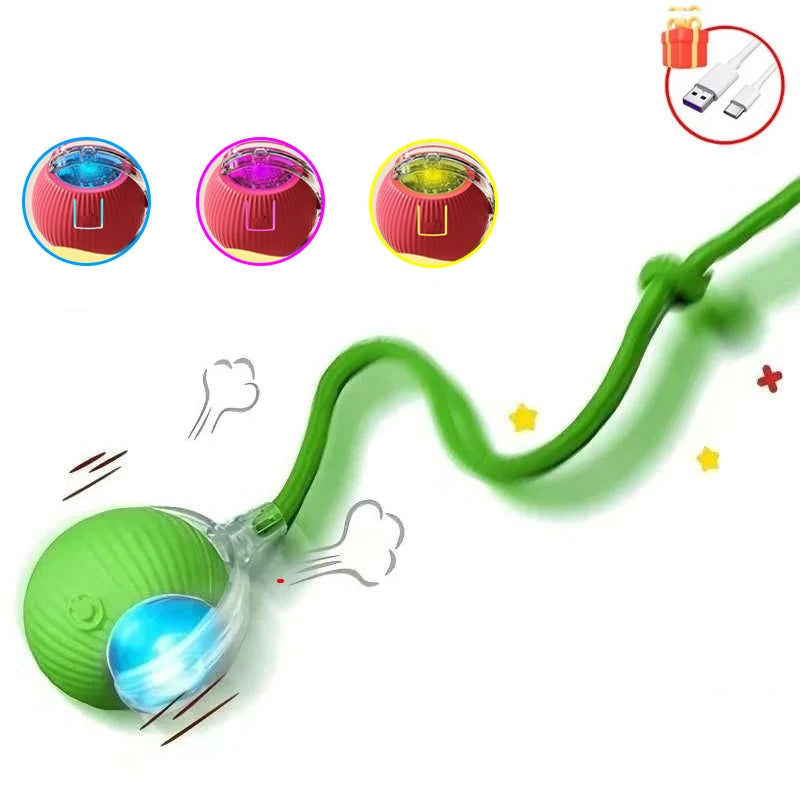 Balle Interactive pour Chat