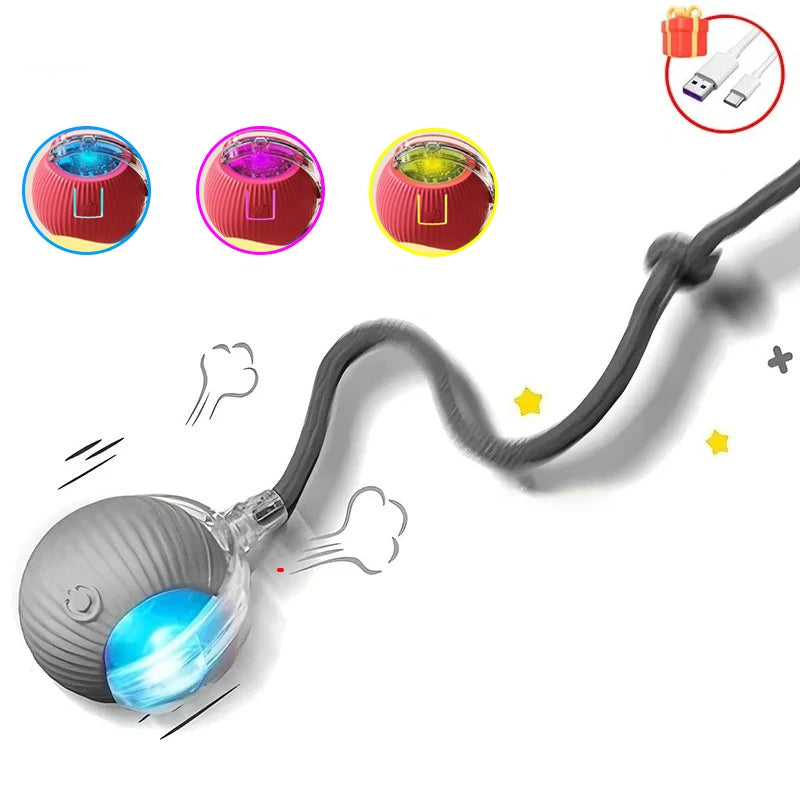 Balle Interactive pour Chat