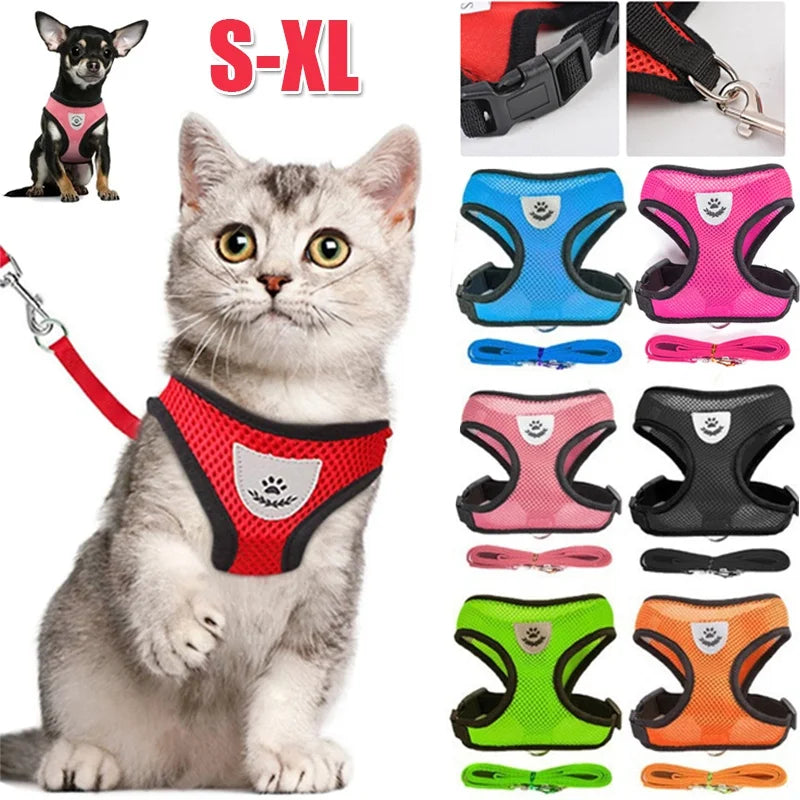 Harnais pour Chat avec Laisse