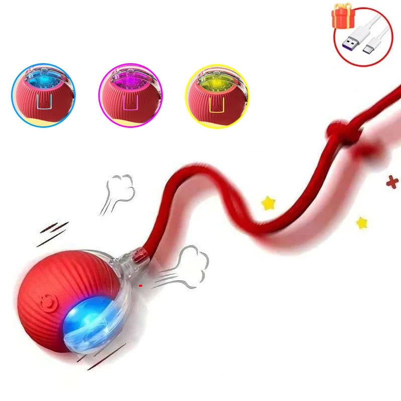 Balle Interactive pour Chat