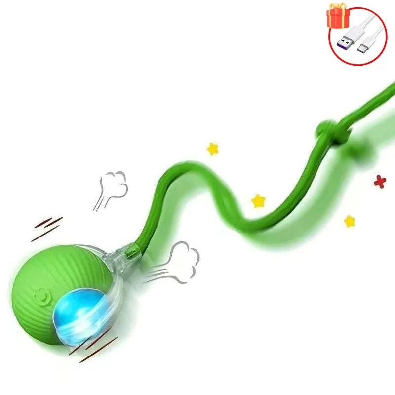 Balle Interactive pour Chat