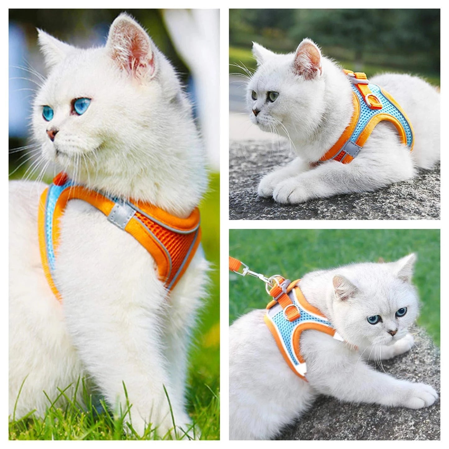 Harnais Réfléchissant pour Chat