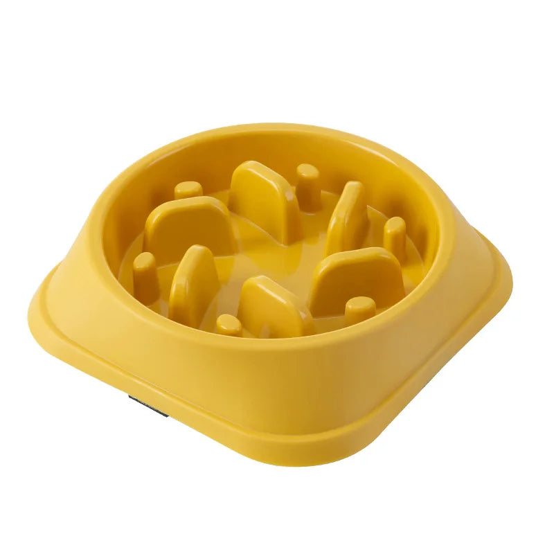Gamelle Anti Glouton