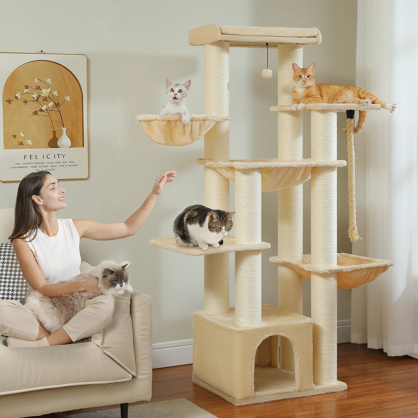 Grand Arbre à Chat