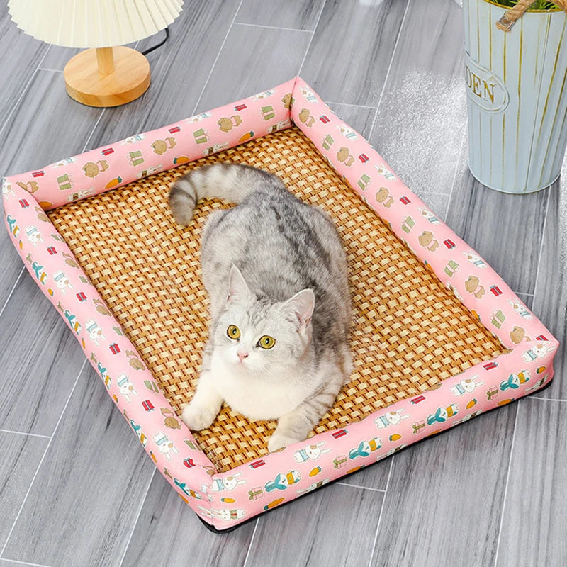 Lit pour Chat