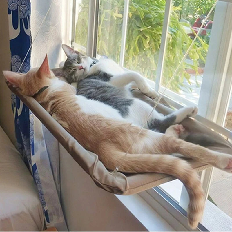 Hamac Suspendu pour Chat d'Intérieur