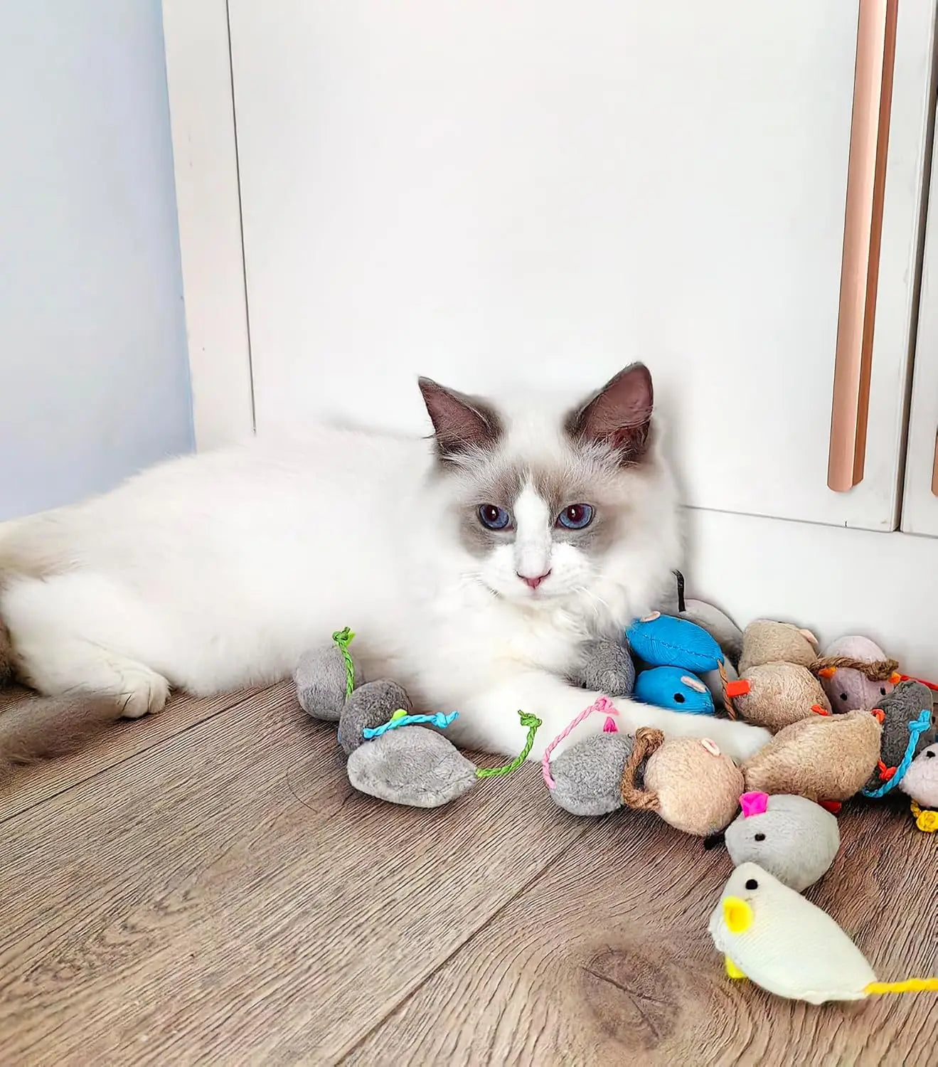 Ensemble Jouets Souris pour Chat