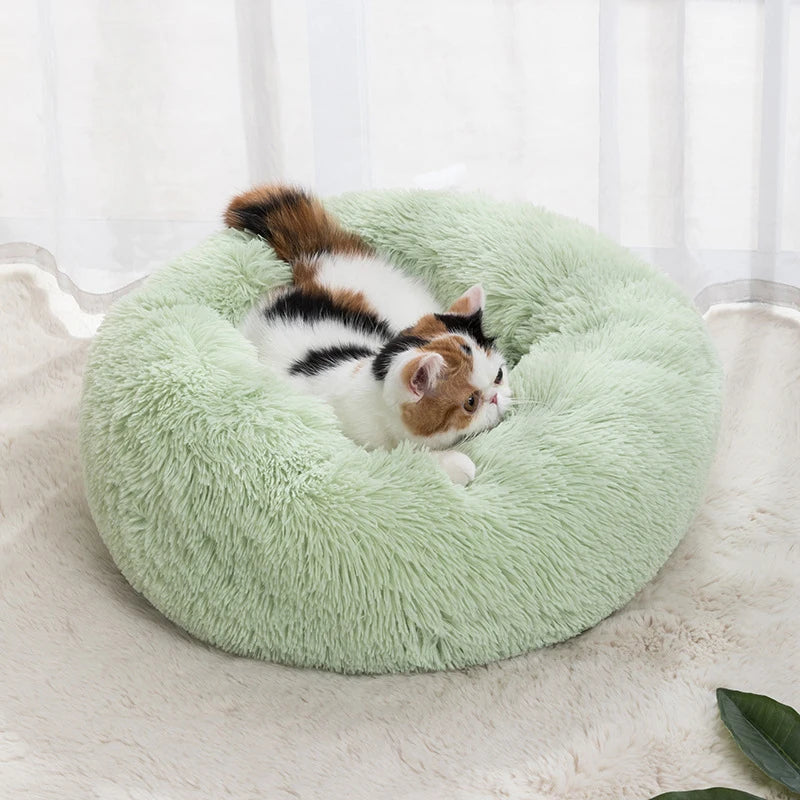 Nid pour Chat Doux