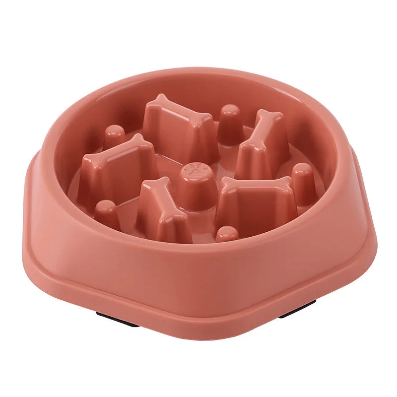 Gamelle Anti Glouton
