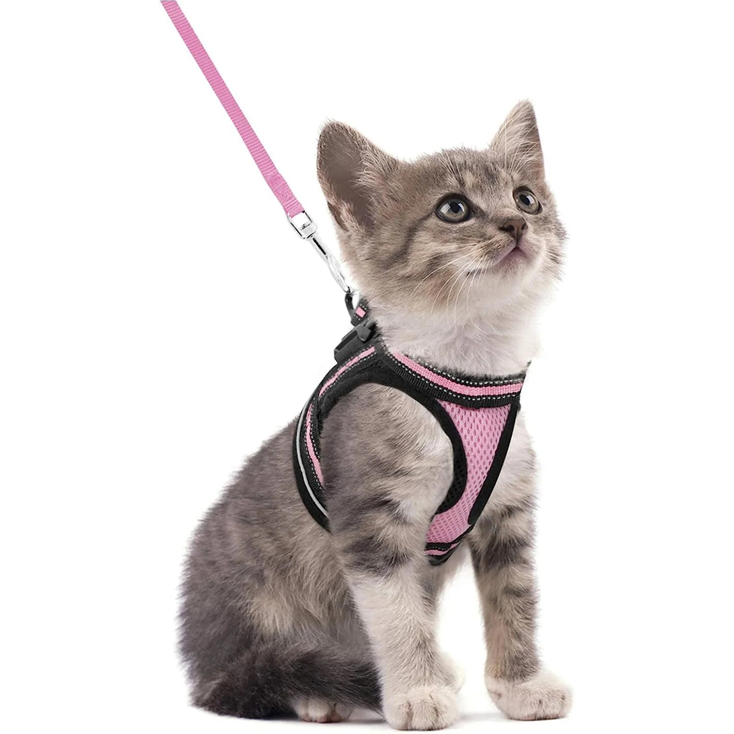 Harnais pour Chat avec Bande  Réfléchissante