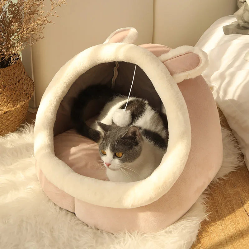 Abri pour Chat d'Intérieur Chic