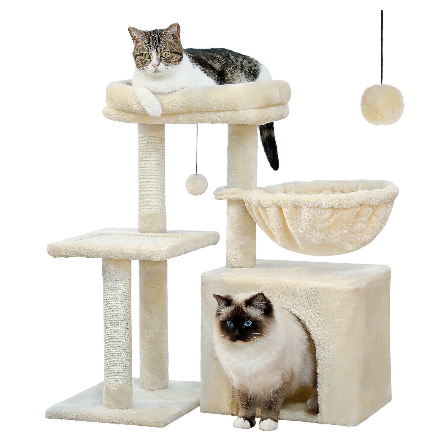 Petit Arbre à Chat
