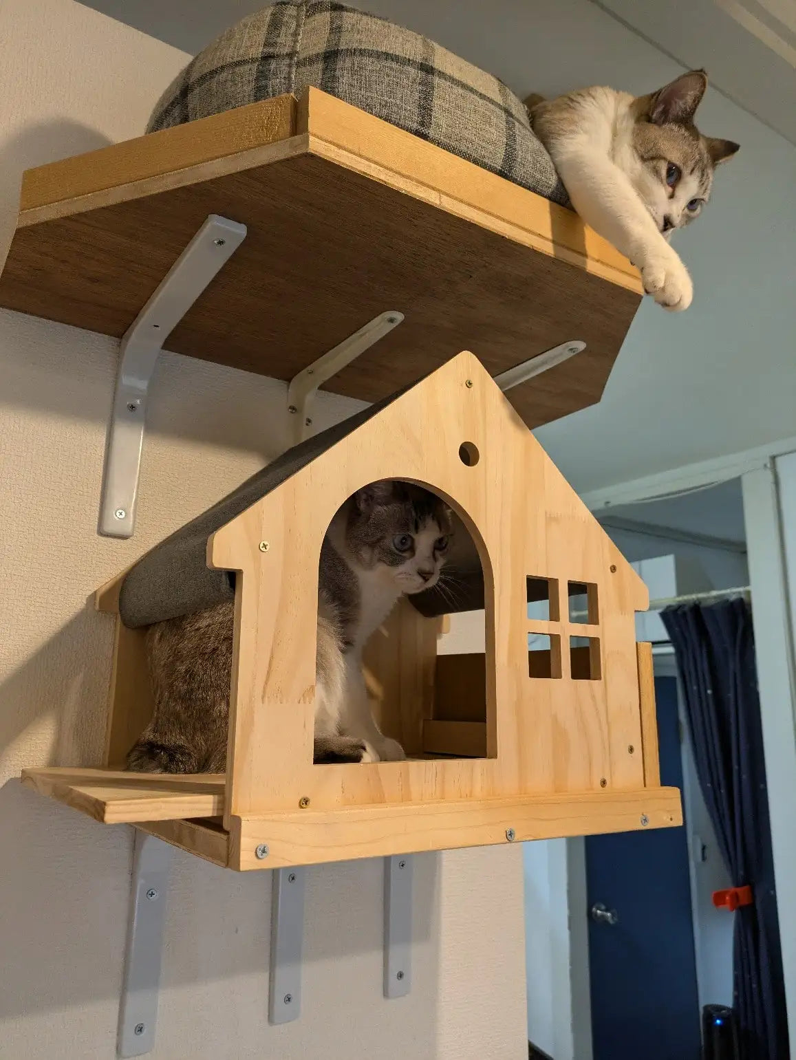 Maison en Bois suspendue pour Chat