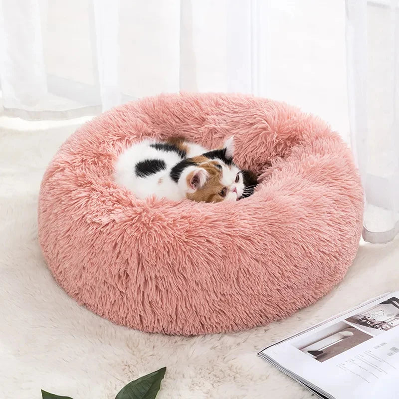 Nid pour Chat Doux