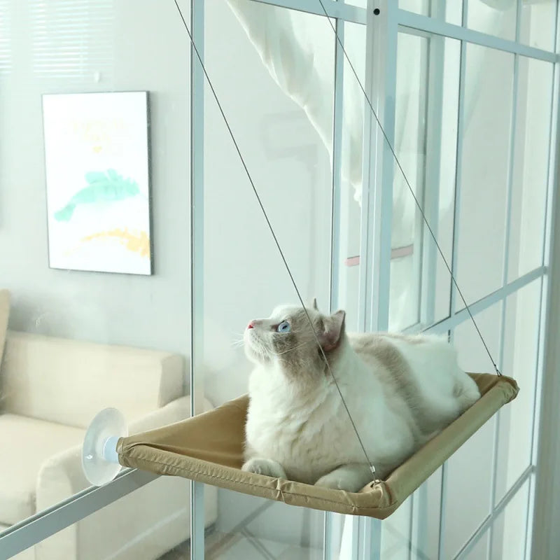 Hamac Suspendu pour Chat d'Intérieur