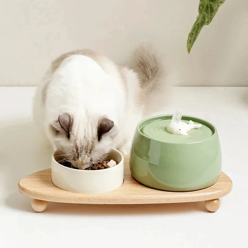 Fontaine à Eau en Céramique pour Chat