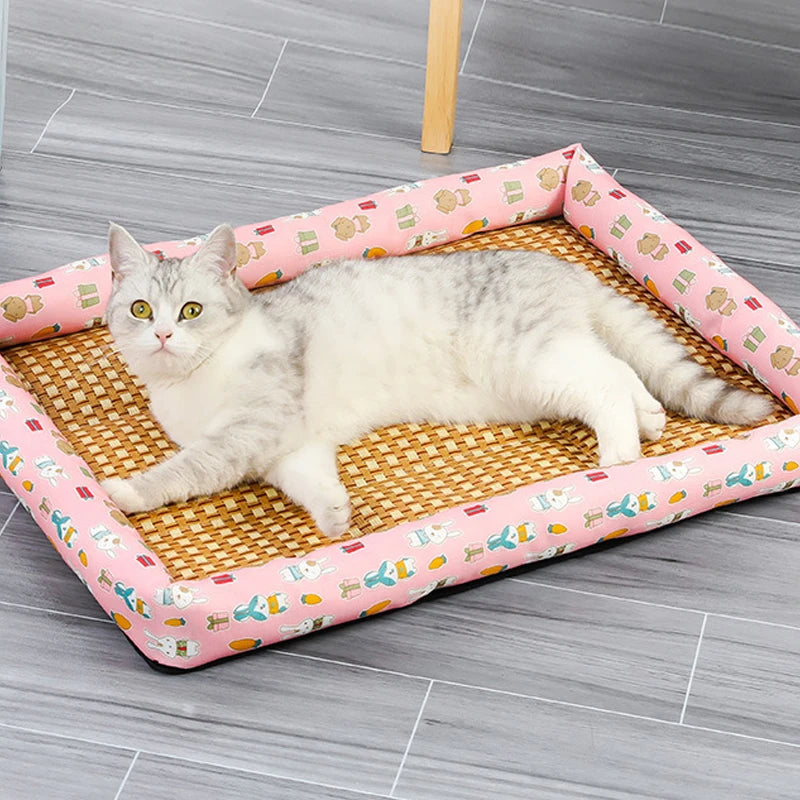 Lit pour Chat