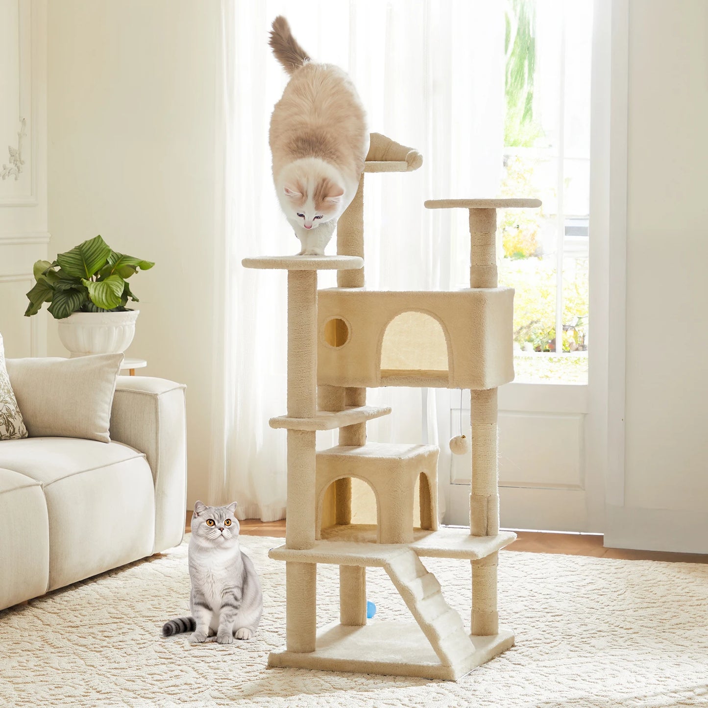 Maison de Jeu pour Chat d'Intérieur