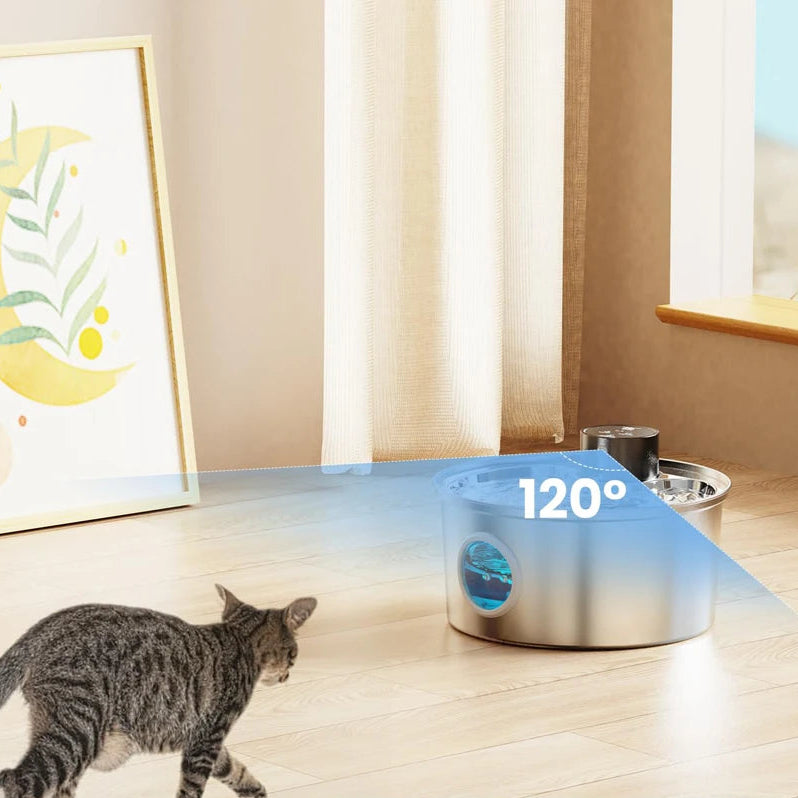 Fontaine à Eau pour Chat Sans Fil
