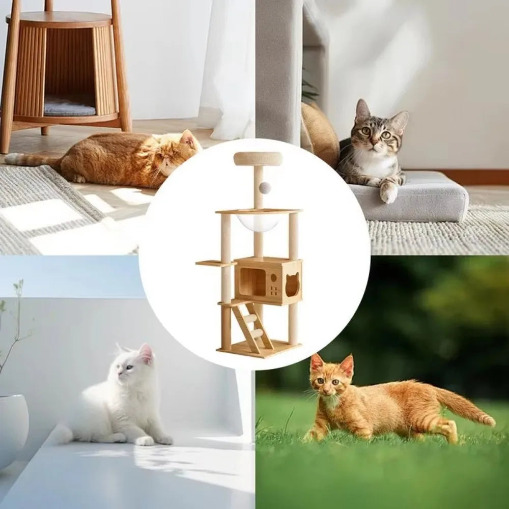 Arbre Cabane en Bois pour Chat