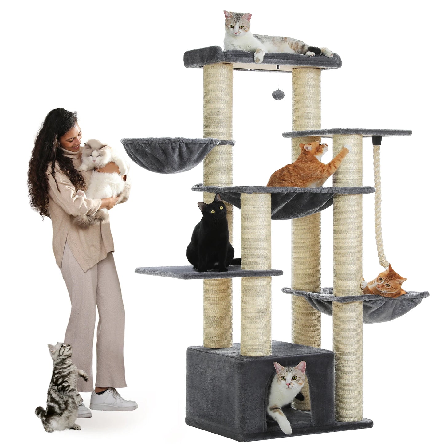 Grand Arbre à Chat