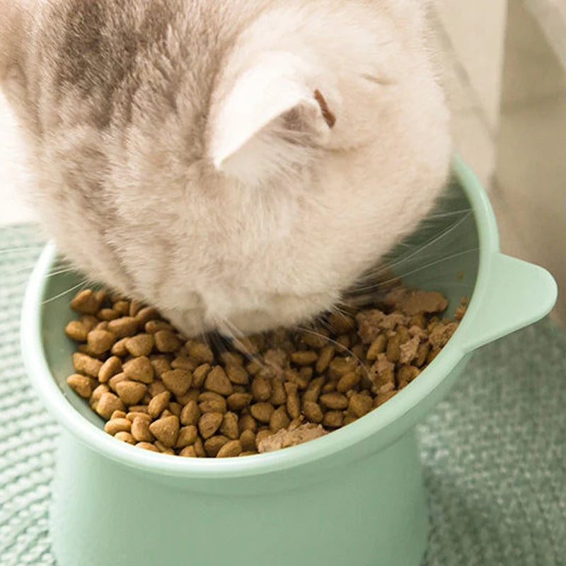 Bol à Nourriture pour Chat